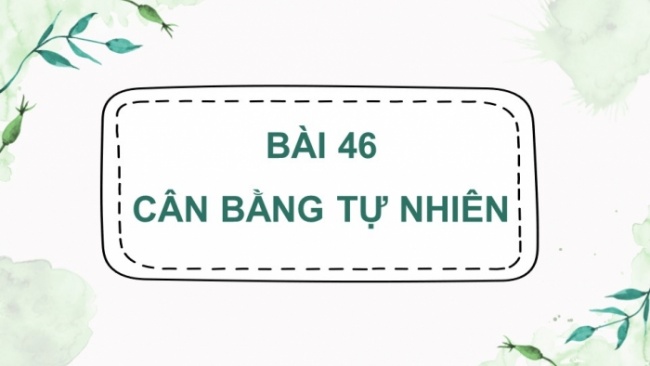 Soạn giáo án điện tử KHTN 8 KNTT Bài 46: Cân bằng tự nhiên