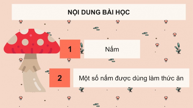 Soạn giáo án điện tử khoa học 4 cánh diều Bài 15: Nấm và một số nấm được dùng làm thức ăn