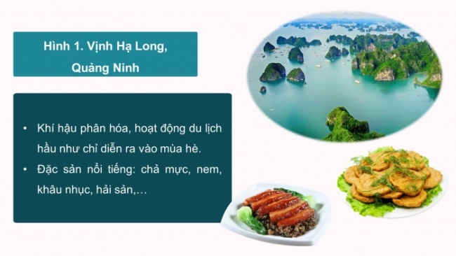 Soạn giáo án điện tử Địa lí 8 CTST Bài 10: Vai trò của tài nguyên khí hậu và tài nguyên nước