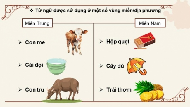 Soạn giáo án điện tử Ngữ văn 8 CD Bài 6 TH tiếng Việt: Từ ngữ toàn dân, từ ngữ địa phương và biệt ngữ xã hội