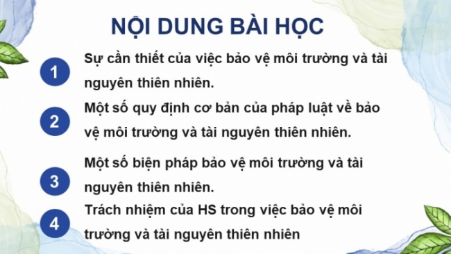 Soạn giáo án điện tử Công dân 8 CD Bài 5: Bảo vệ môi trường và tài nguyên thiên nhiên