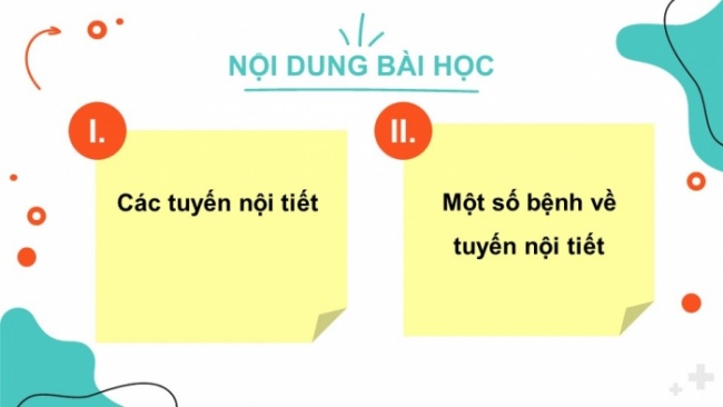 Soạn giáo án điện tử KHTN 8 CD Bài 35: Hệ nội tiết ở người