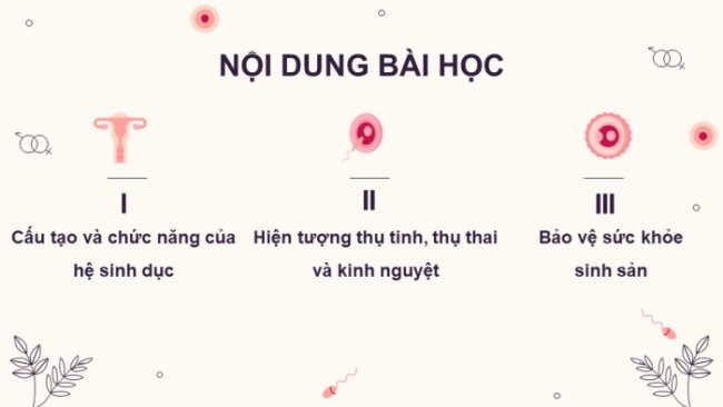 Soạn giáo án điện tử KHTN 8 CD Bài 37: Sinh sản ở người