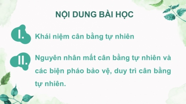 Soạn giáo án điện tử KHTN 8 KNTT Bài 46: Cân bằng tự nhiên