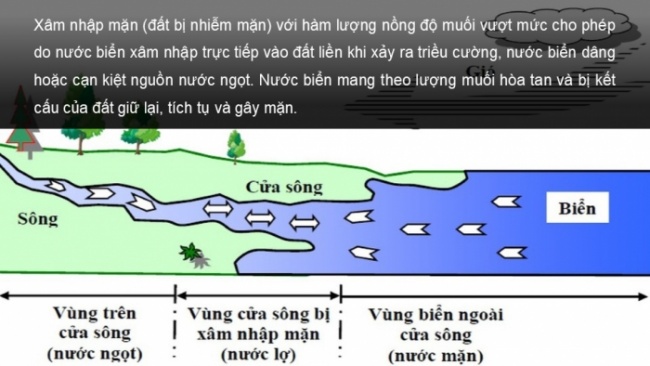 Soạn giáo án điện tử Địa lí 8 CTST Bài 9: Tác động của biến đổi khí hậu đối với khí hậu và thủy văn Việt Nam