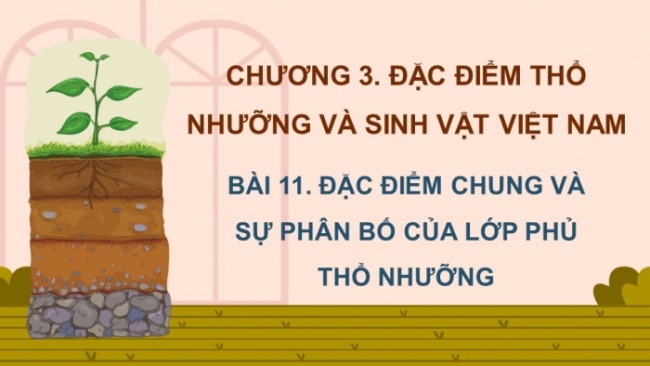 Soạn giáo án điện tử Địa lí 8 CTST Bài 11: Đặc điểm chung và sự phân bố của lớp phủ thổ nhưỡng