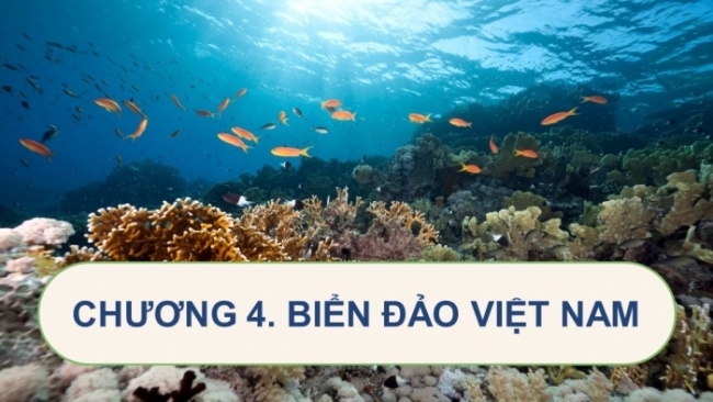 Soạn giáo án điện tử Địa lí 8 KNTT Bài 11: Phạm vi Biển Đông. Vùng biển đảo và đặc điểm tự nhiên vùng biển đảo Việt Nam