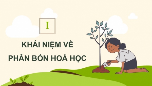 Soạn giáo án điện tử KHTN 8 CD Bài 13: Phân bón hoá học