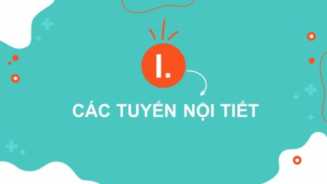 Soạn giáo án điện tử KHTN 8 CD Bài 35: Hệ nội tiết ở người