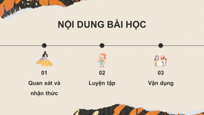 Soạn giáo án điện tử Mĩ thuật 8 CTST (bản 2) Bài 11: Trang trí mẫu vải