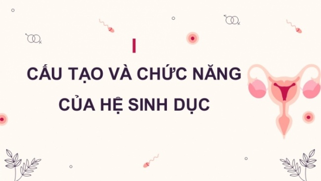 Soạn giáo án điện tử KHTN 8 CD Bài 37: Sinh sản ở người