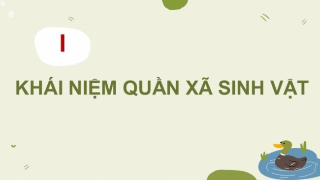 Soạn giáo án điện tử KHTN 8 CD Bài 40: Quần xã sinh vật