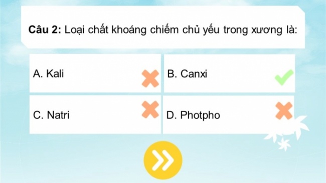 Soạn giáo án điện tử KHTN 8 CD: Bài tập (Chủ đề 7)