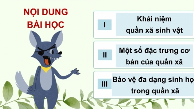 Soạn giáo án điện tử KHTN 8 KNTT Bài 43: Quần xã sinh vật