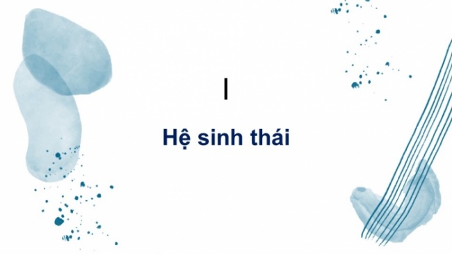 Soạn giáo án điện tử KHTN 8 KNTT Bài 44: Hệ sinh thái