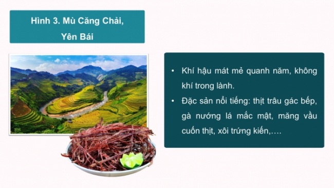 Soạn giáo án điện tử Địa lí 8 CTST Bài 10: Vai trò của tài nguyên khí hậu và tài nguyên nước