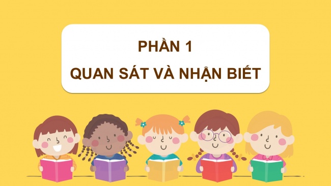 Soạn giáo án điện tử mĩ thuật 4 cánh diều: Cùng nhau ôn tập học kì 1