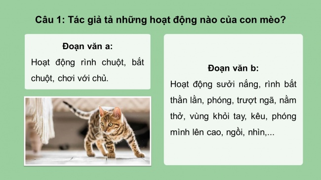 Soạn giáo án điện tử tiếng việt 4 cánh diều Bài 14 Viết 2: Luyện tập tả con vật