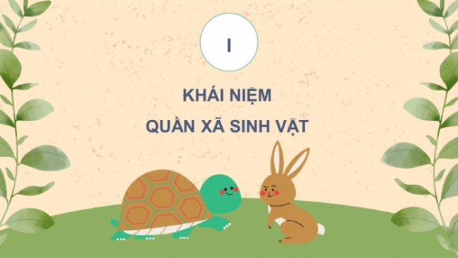 Soạn giáo án điện tử KHTN 8 KNTT Bài 43: Quần xã sinh vật