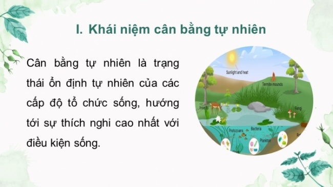 Soạn giáo án điện tử KHTN 8 KNTT Bài 46: Cân bằng tự nhiên