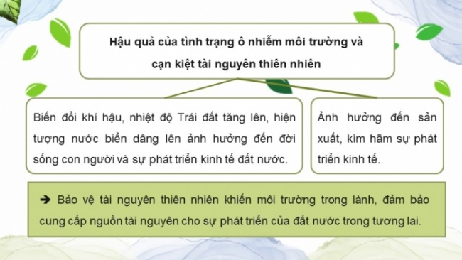 Soạn giáo án điện tử Công dân 8 CD Bài 5: Bảo vệ môi trường và tài nguyên thiên nhiên