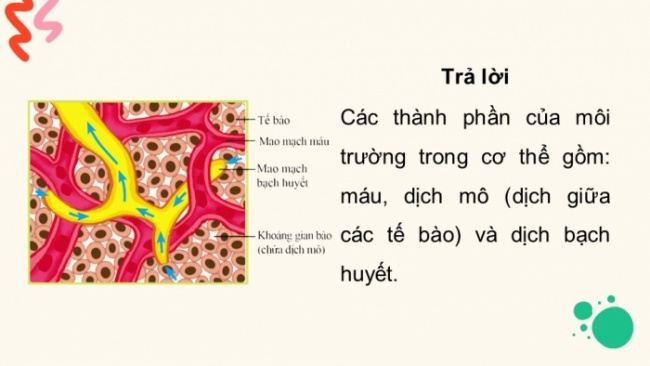 Soạn giáo án điện tử KHTN 8 CD Bài 33: Môi trường trong cơ thể và hệ bài tiết ở người