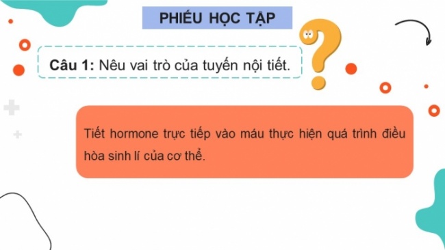 Soạn giáo án điện tử KHTN 8 CD Bài 35: Hệ nội tiết ở người