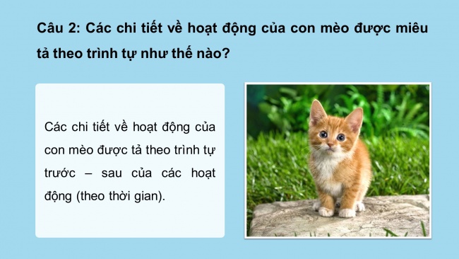 Soạn giáo án điện tử tiếng việt 4 cánh diều Bài 14 Viết 2: Luyện tập tả con vật