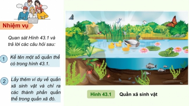 Soạn giáo án điện tử KHTN 8 KNTT Bài 43: Quần xã sinh vật