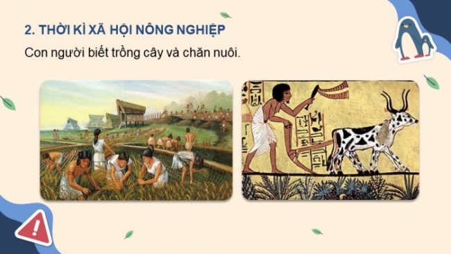 Soạn giáo án điện tử KHTN 8 KNTT Bài 47: Bảo vệ môi trường