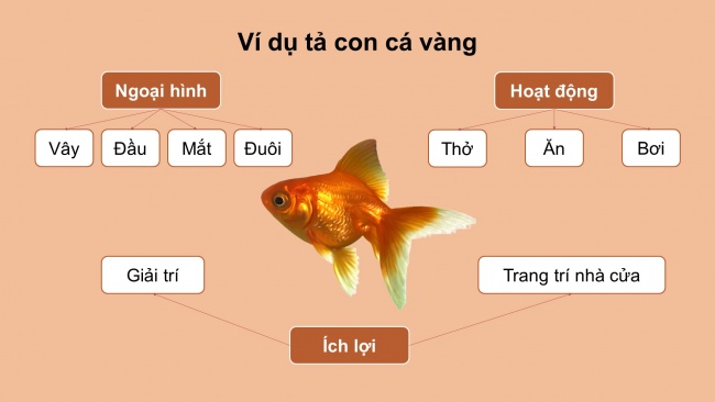 Soạn giáo án điện tử tiếng việt 4 cánh diều Bài 13 Viết 1: Luyện tập tả con vật