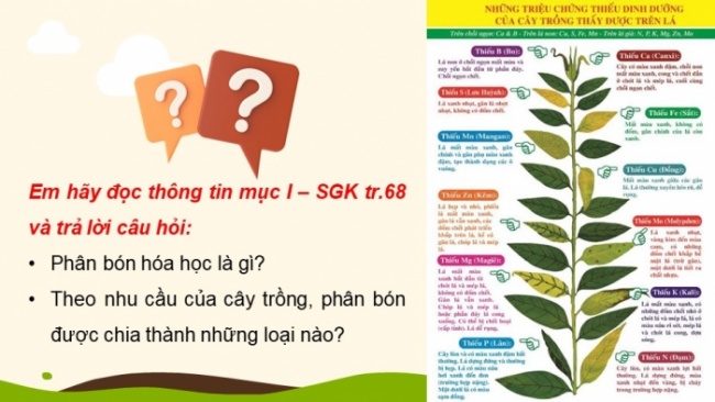 Soạn giáo án điện tử KHTN 8 CD Bài 13: Phân bón hoá học