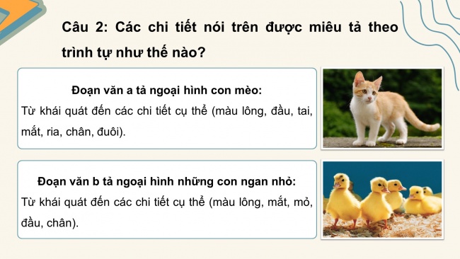 Soạn giáo án điện tử tiếng việt 4 cánh diều Bài 14 Viết 1: Luyện tập tả con vật