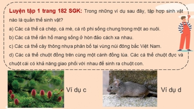 Soạn giáo án điện tử KHTN 8 CD Bài 39: Quần thể sinh vật