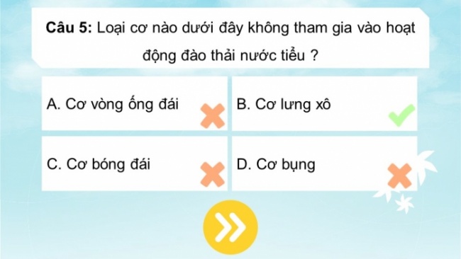 Soạn giáo án điện tử KHTN 8 CD: Bài tập (Chủ đề 7)