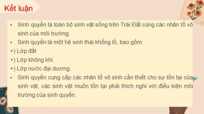 Soạn giáo án điện tử KHTN 8 KNTT Bài 45: Sinh quyển