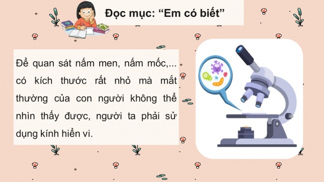 Soạn giáo án điện tử khoa học 4 cánh diều Bài 15: Nấm và một số nấm được dùng làm thức ăn