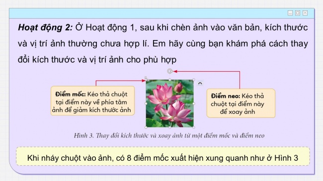 Soạn giáo án điện tử tin học 4 cánh diều Chủ đề E2 Bài 4: Chèn ảnh vào văn bản