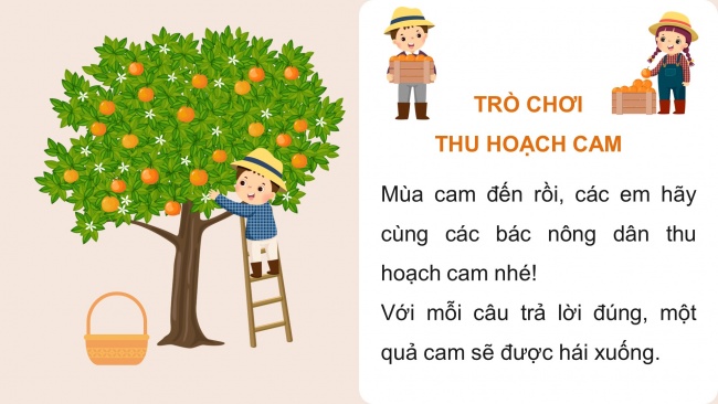 Soạn giáo án điện tử toán 4 CTST Bài 49: Chia cho số có một chữ số