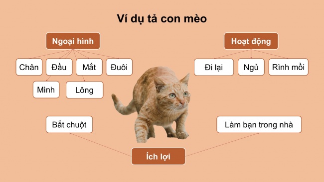 Soạn giáo án điện tử tiếng việt 4 cánh diều Bài 13 Viết 1: Luyện tập tả con vật