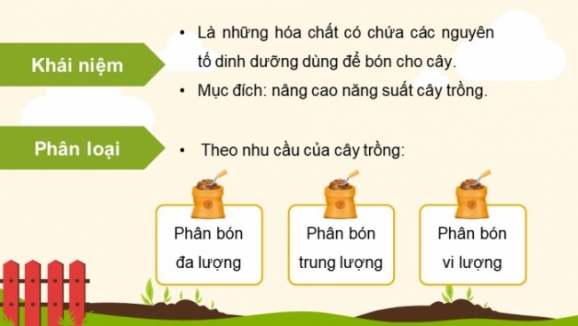 Soạn giáo án điện tử KHTN 8 CD Bài 13: Phân bón hoá học