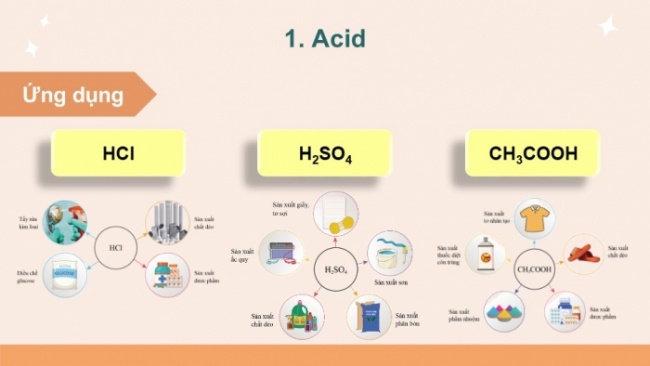 Soạn giáo án điện tử KHTN 8 CD: Bài tập (Chủ đề 2)