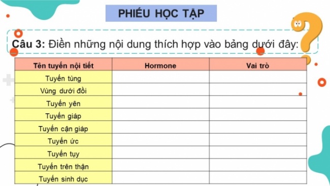 Soạn giáo án điện tử KHTN 8 CD Bài 35: Hệ nội tiết ở người