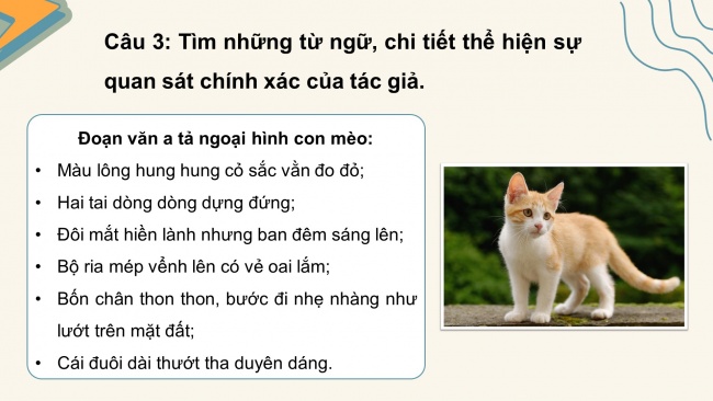 Soạn giáo án điện tử tiếng việt 4 cánh diều Bài 14 Viết 1: Luyện tập tả con vật