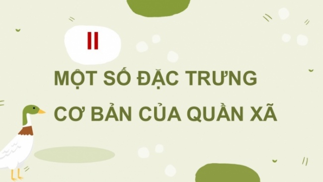 Soạn giáo án điện tử KHTN 8 CD Bài 40: Quần xã sinh vật