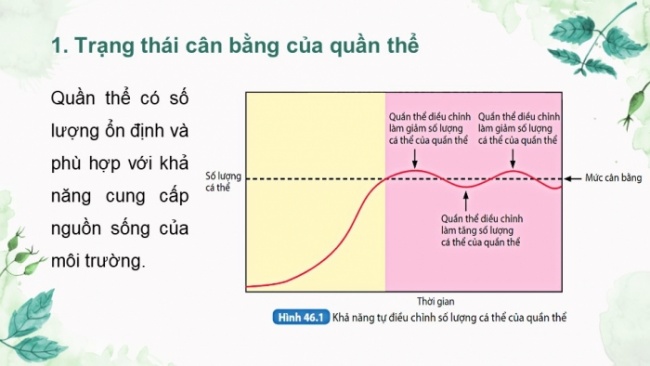 Soạn giáo án điện tử KHTN 8 KNTT Bài 46: Cân bằng tự nhiên