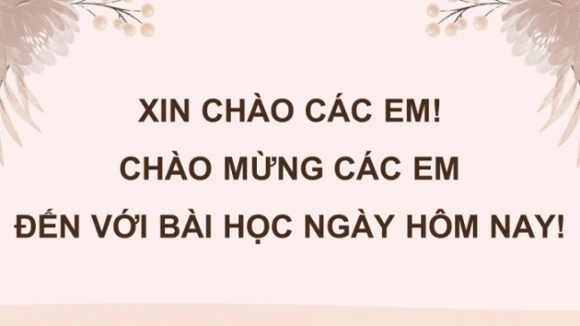 Soạn giáo án điện tử tiếng việt 4 CTST: Ôn tập giữa kì 2