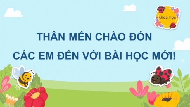 Soạn giáo án điện tử khoa học 4 cánh diều Bài: Ôn tập chủ đề Thực vật và động vật