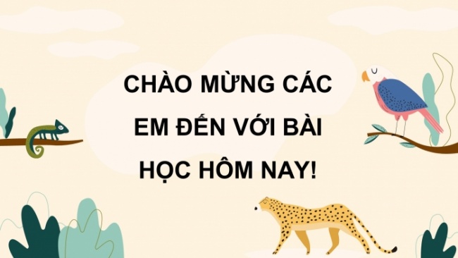 Soạn giáo án điện tử khoa học 4 cánh diều Bài 23: Vai trò của thực vật trong chuỗi thức ăn