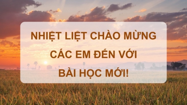 Soạn giáo án điện tử mĩ thuật 4 cánh diều Bài 12: Trên cánh đồng quê em